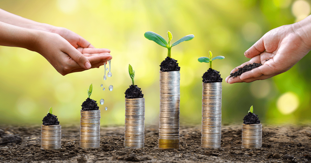 Plants on top of stacked coins